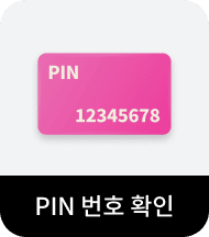 PIN 번호 확인